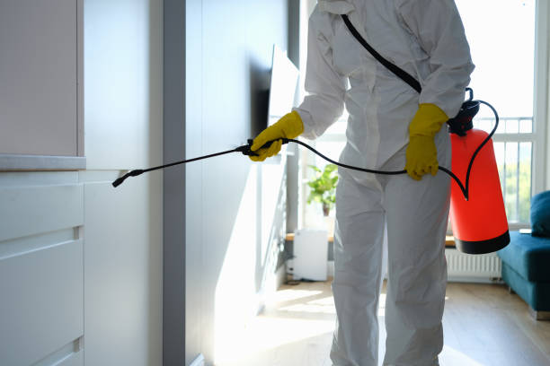 Best Affordable Mold Removal  in Moweaqua, IL